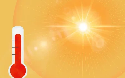 Canicule